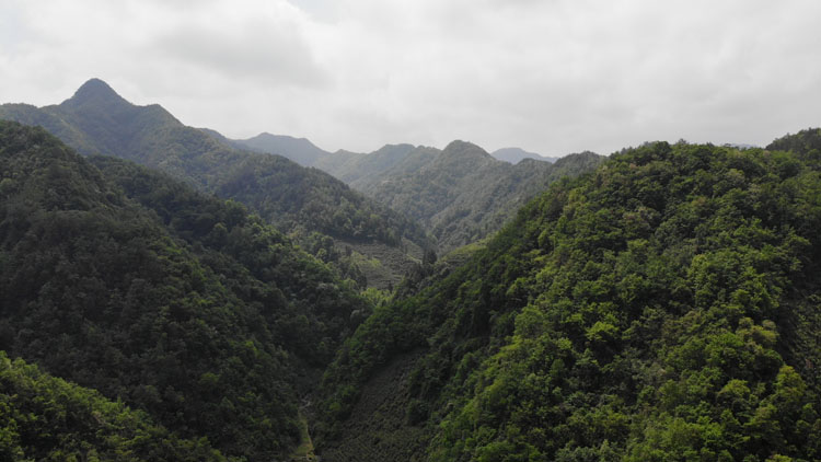 紫阳县蒿坪镇铁炉沟瀑布上面围炉煮茶