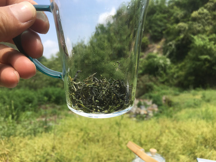 紫阳县蒿坪镇铁炉沟瀑布上面围炉煮茶