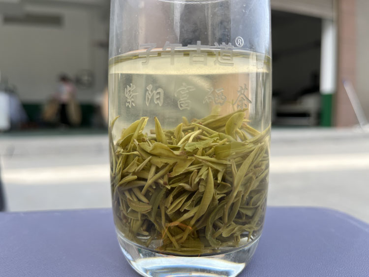 安康市紫阳县在第21届中国茶业经济年会上揽获多项大奖