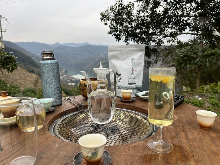 安康市紫阳县举办2025年“金智惠民”茶业营销培训班