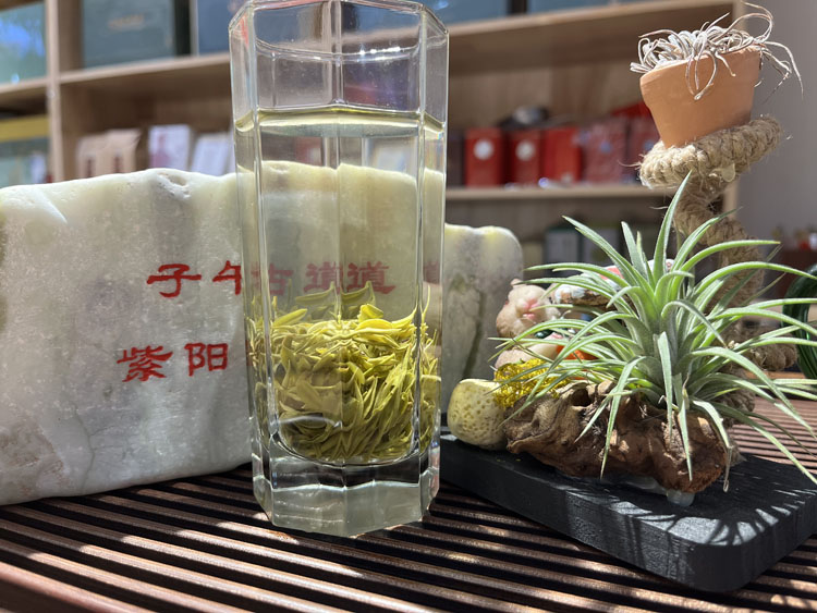 紫阳毛尖泡开后芽头颜色