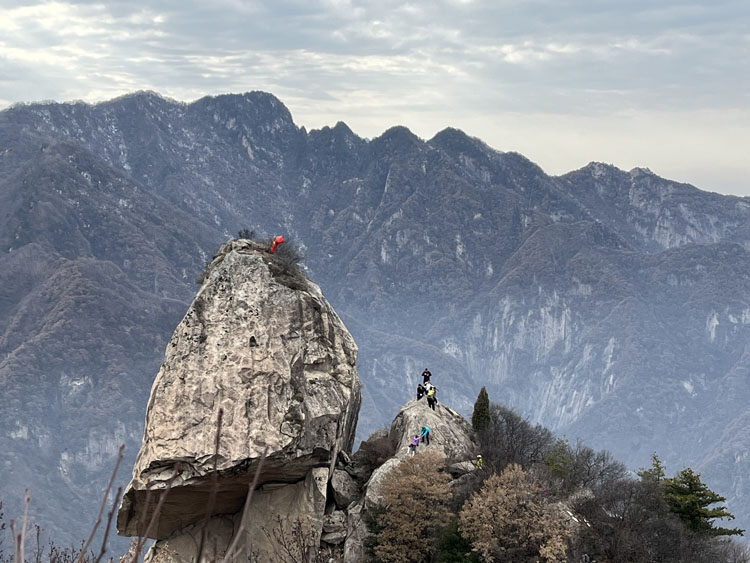 秦岭户外线路人头山山顶品紫阳富硒茶