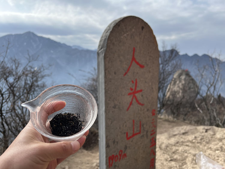 秦岭户外线路人头山山顶品紫阳富硒茶