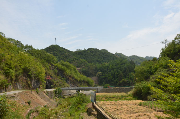 紫阳县双安镇的茶叶含硒量是最高的吗？