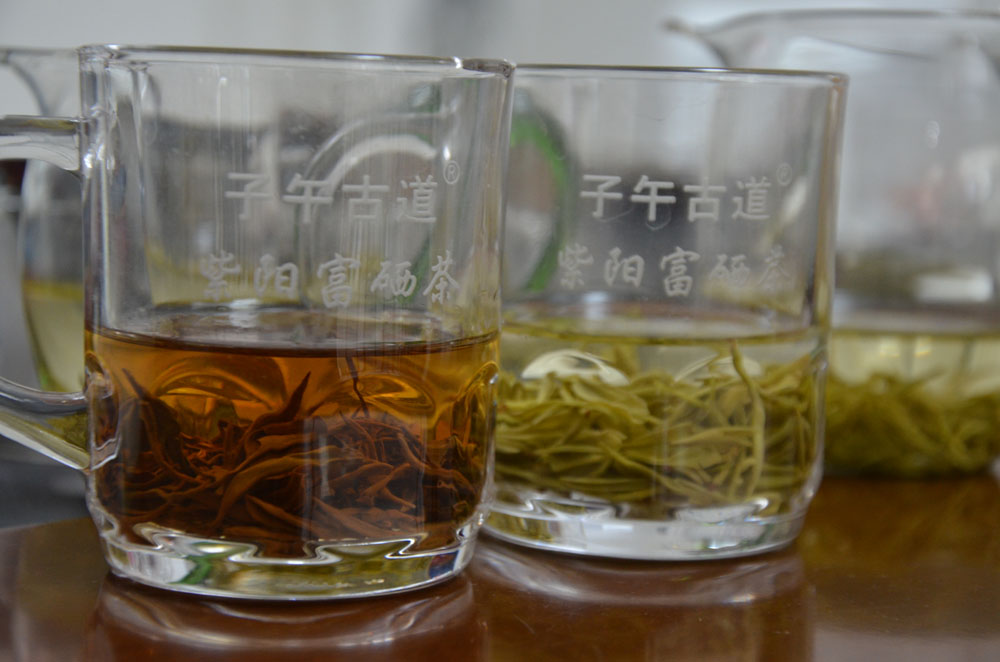 紫阳绿茶和紫阳红茶最本质的区别是什么？