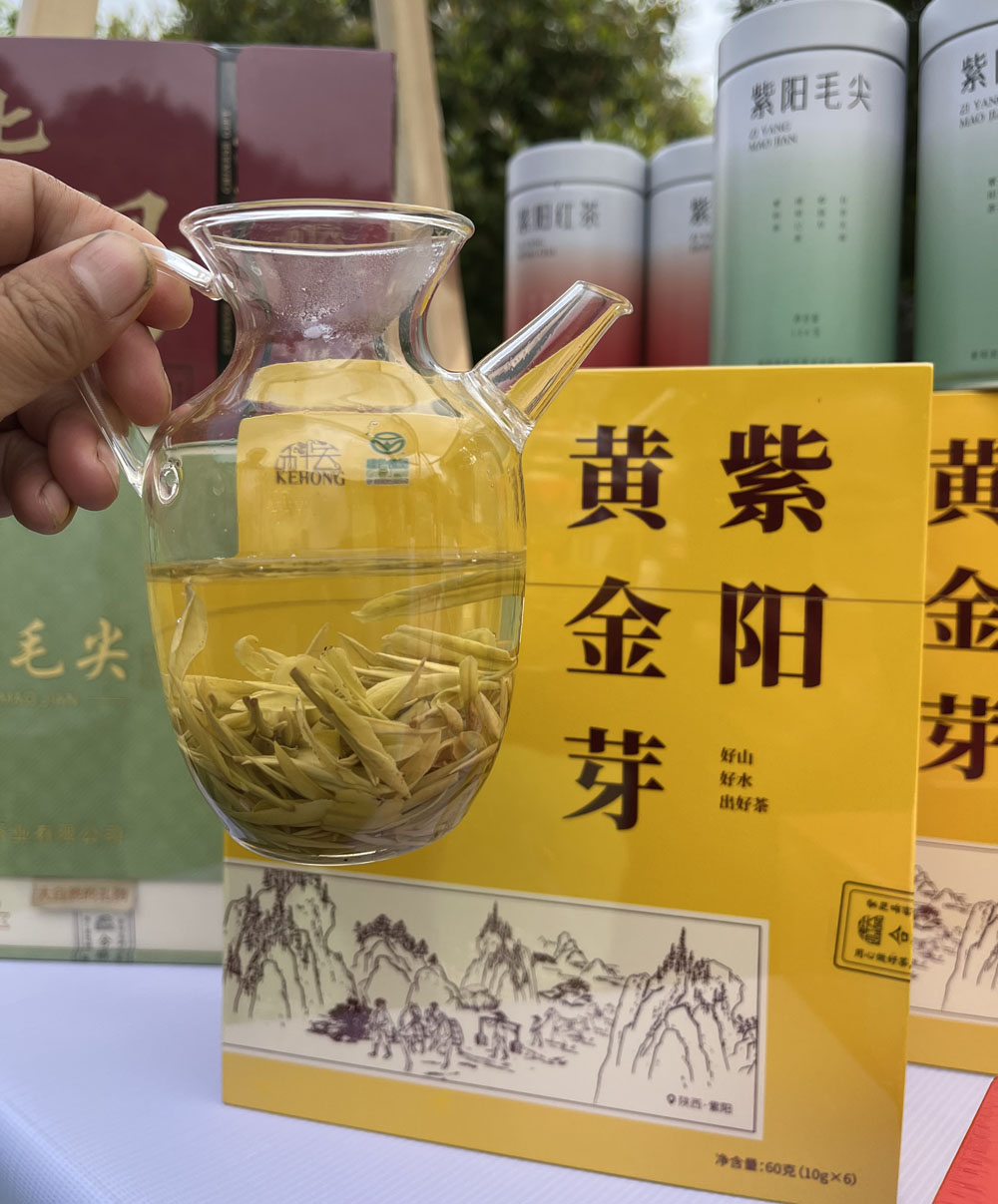 紫阳县有黄金芽茶叶吗？
