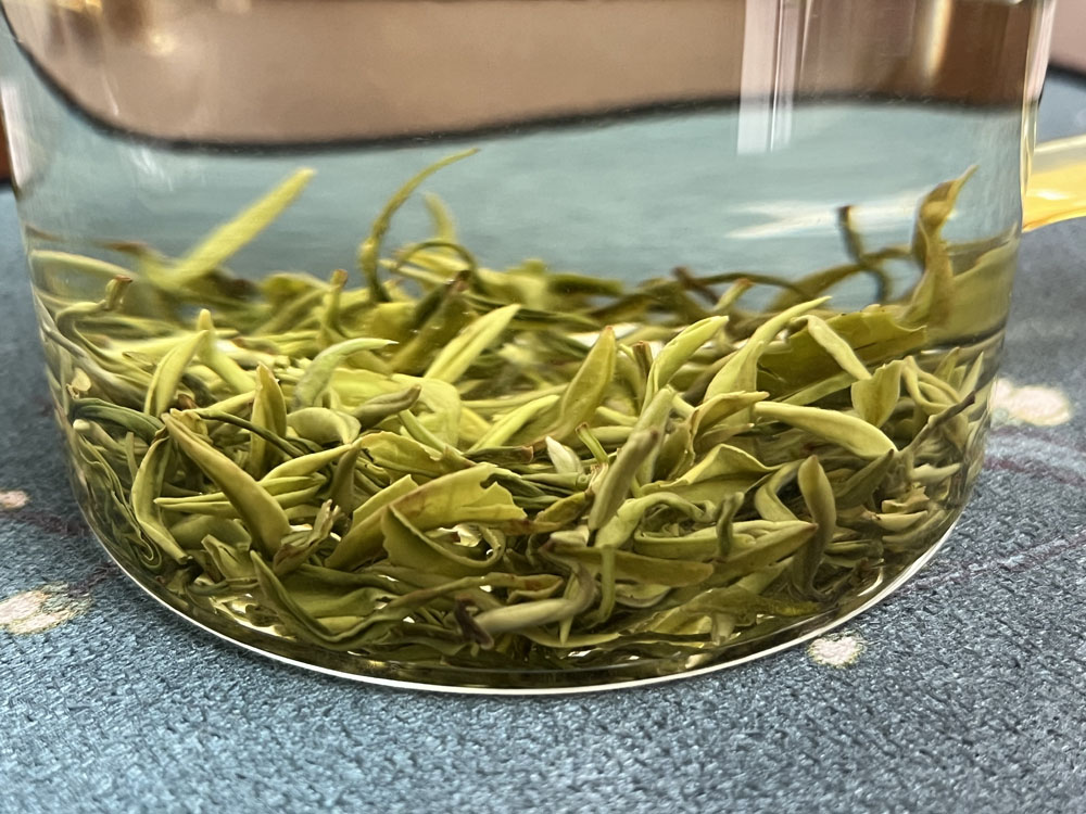 紫阳毛尖芽头肥壮的好还是纤细的好？