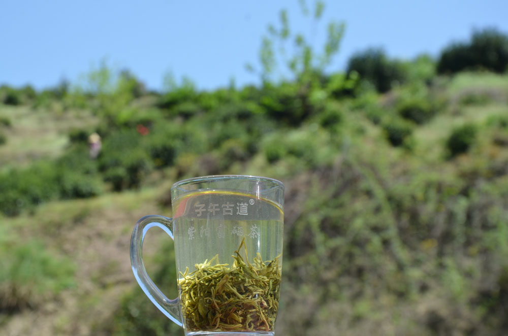 紫阳富硒茶加了农药吗？