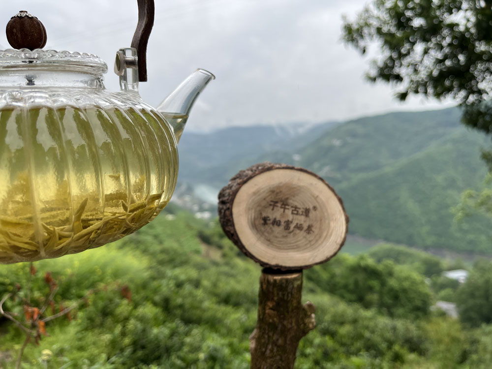 紫阳富硒茶有了“数字身份证”