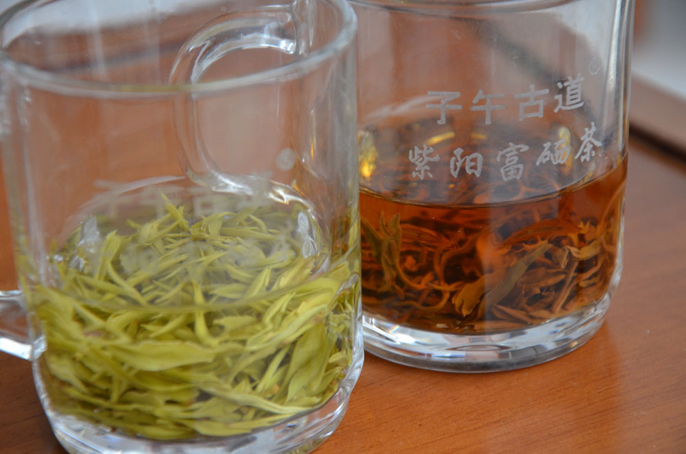 紫阳茶本地群体种的茶叶有什么特点