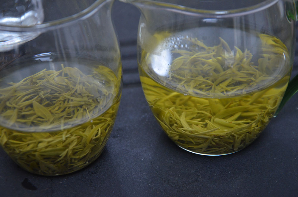 紫阳富硒茶叶洗不洗？