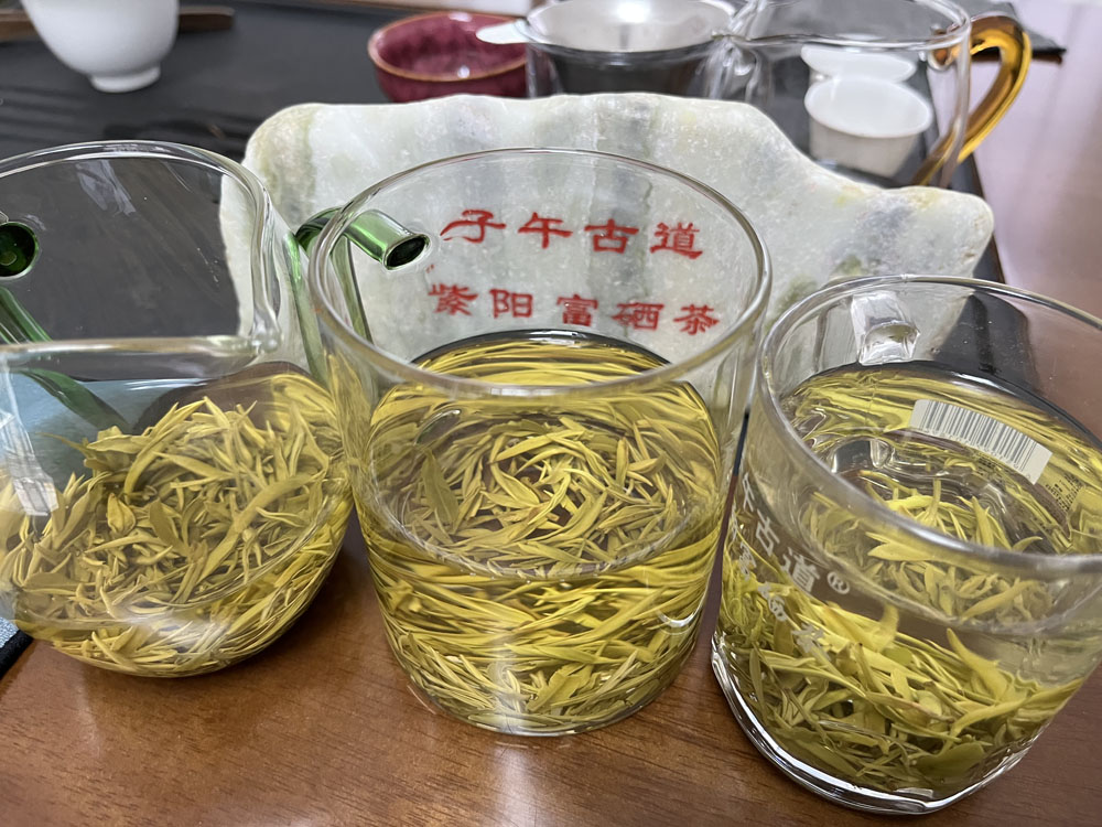 普通紫阳富硒茶泡开来的样子