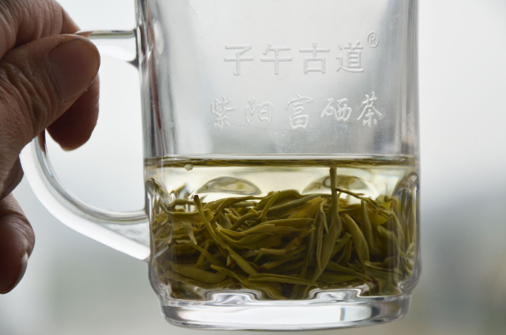 紫阳毛尖怎么比汉中毛尖贵？