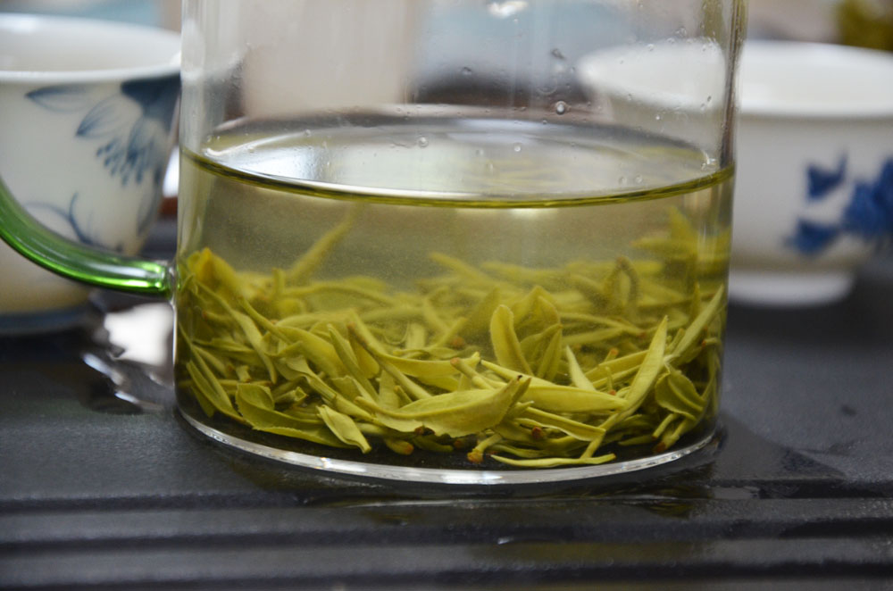 紫阳茶500元一斤的怎么样？