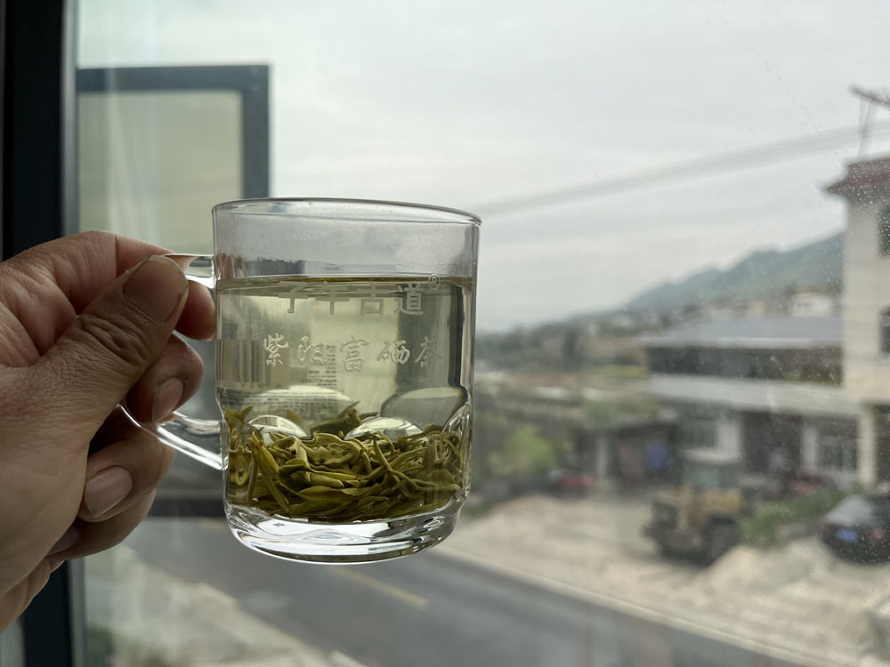紫阳富硒茶喝清明前的好还是清明后的好？