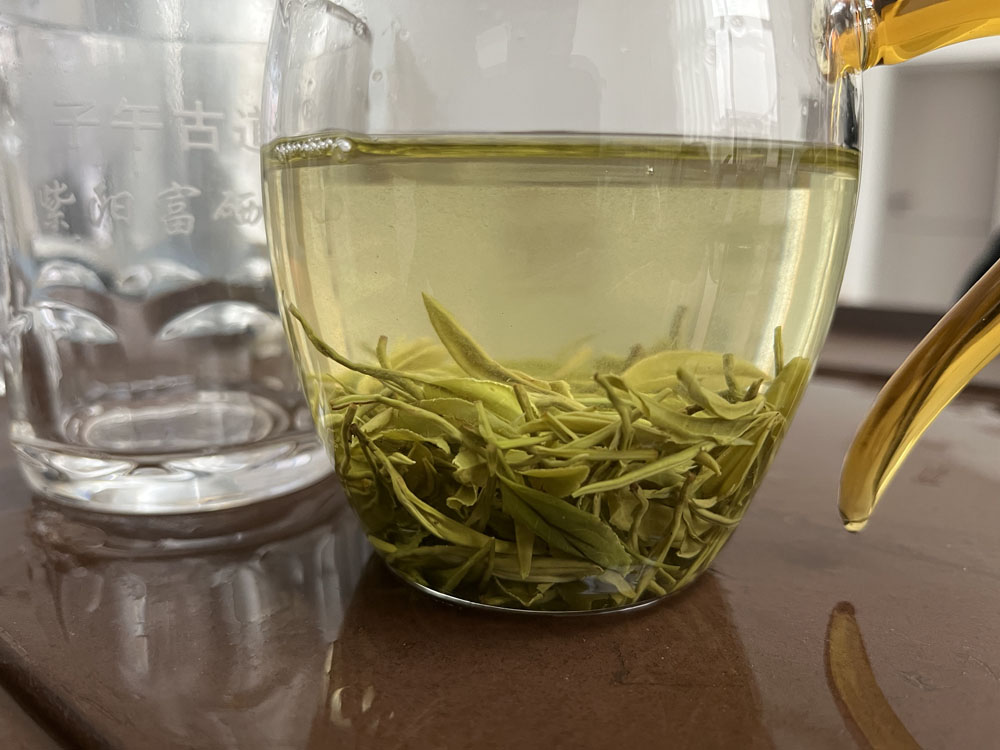 紫阳毛尖茶汤浑浊是什么原因？