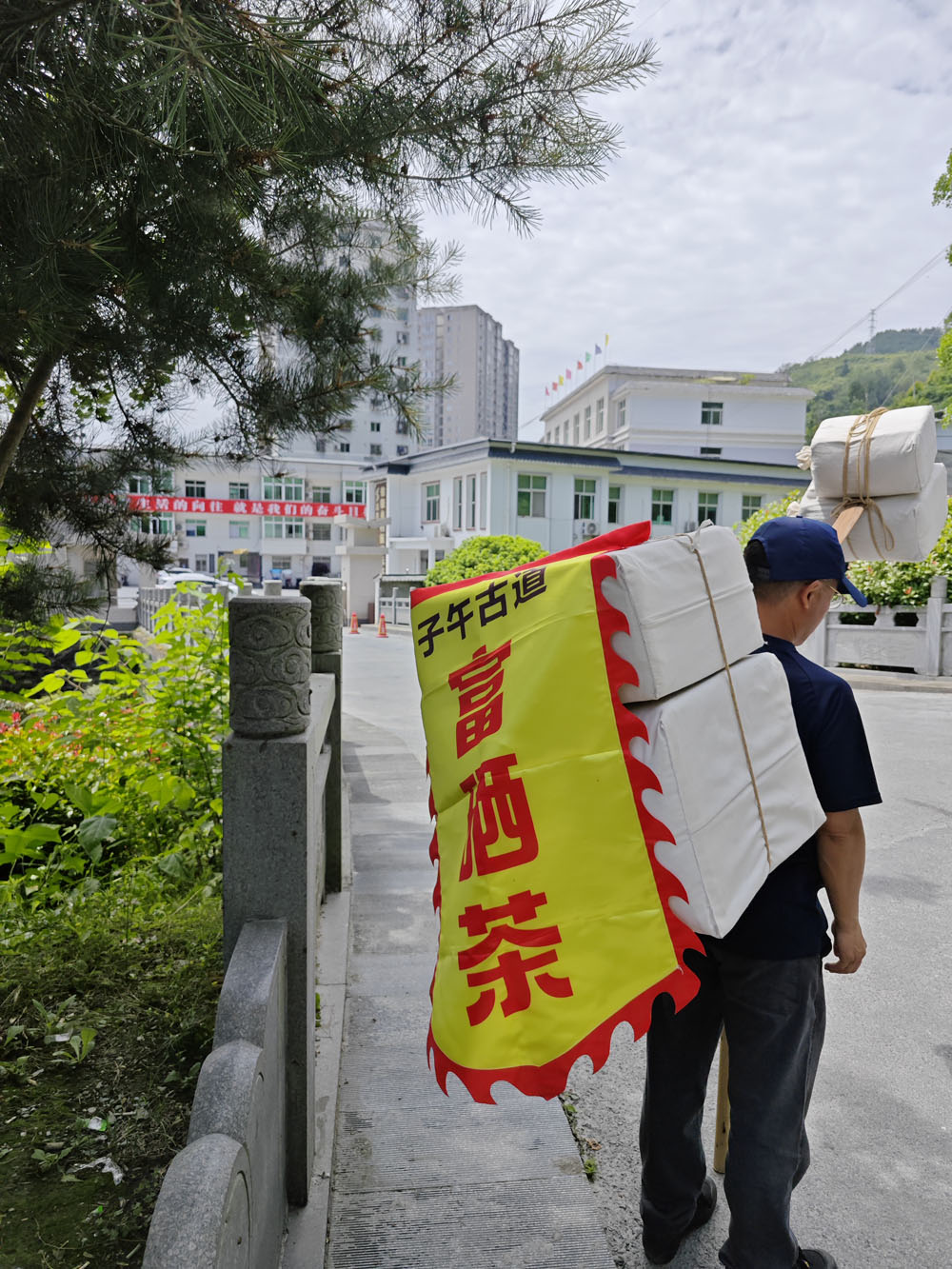 紫阳茶哪个产地最正宗？
