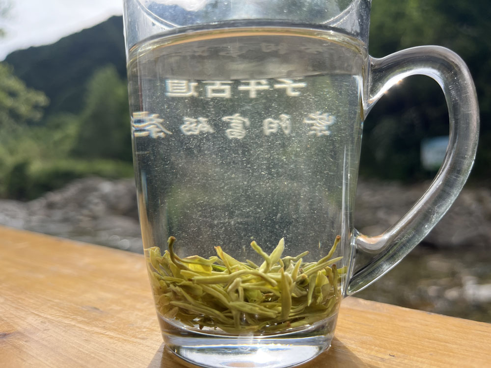 紫阳毛尖与汉中毛尖哪个贵