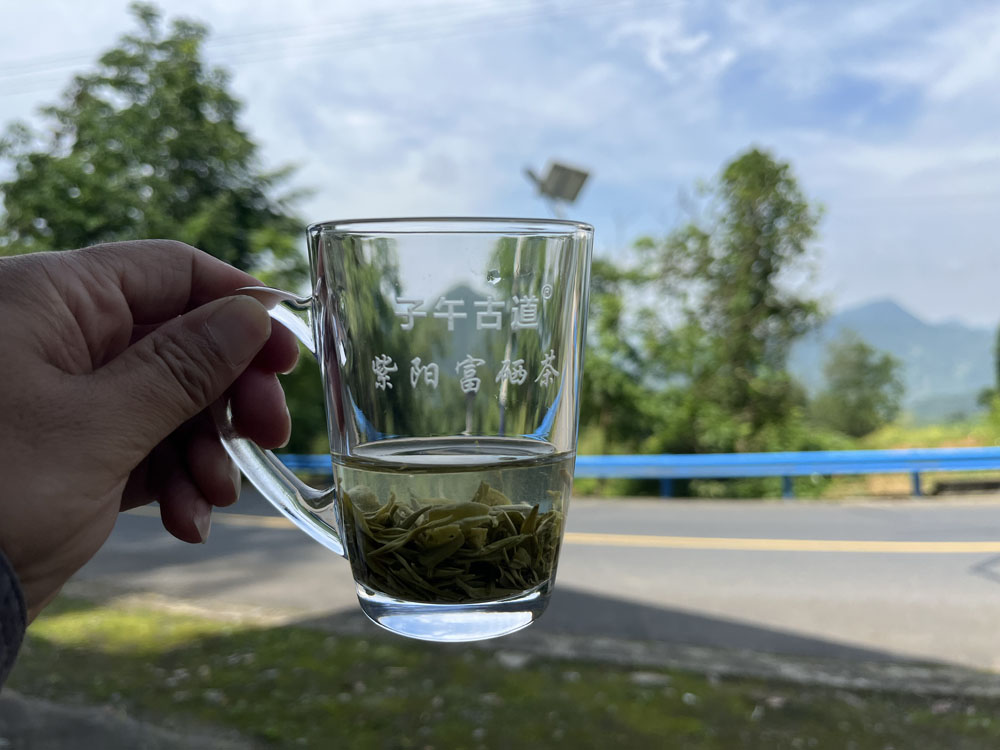 紫阳茶最好的都有哪些？