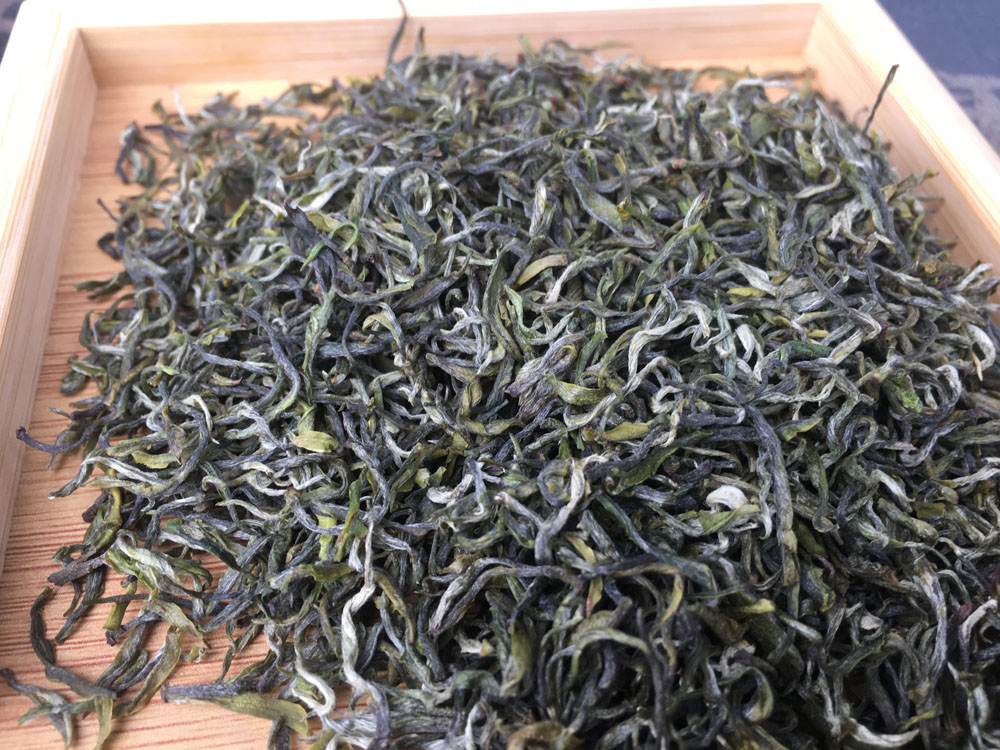 正宗的紫阳毛尖为什么大家都看不上？
