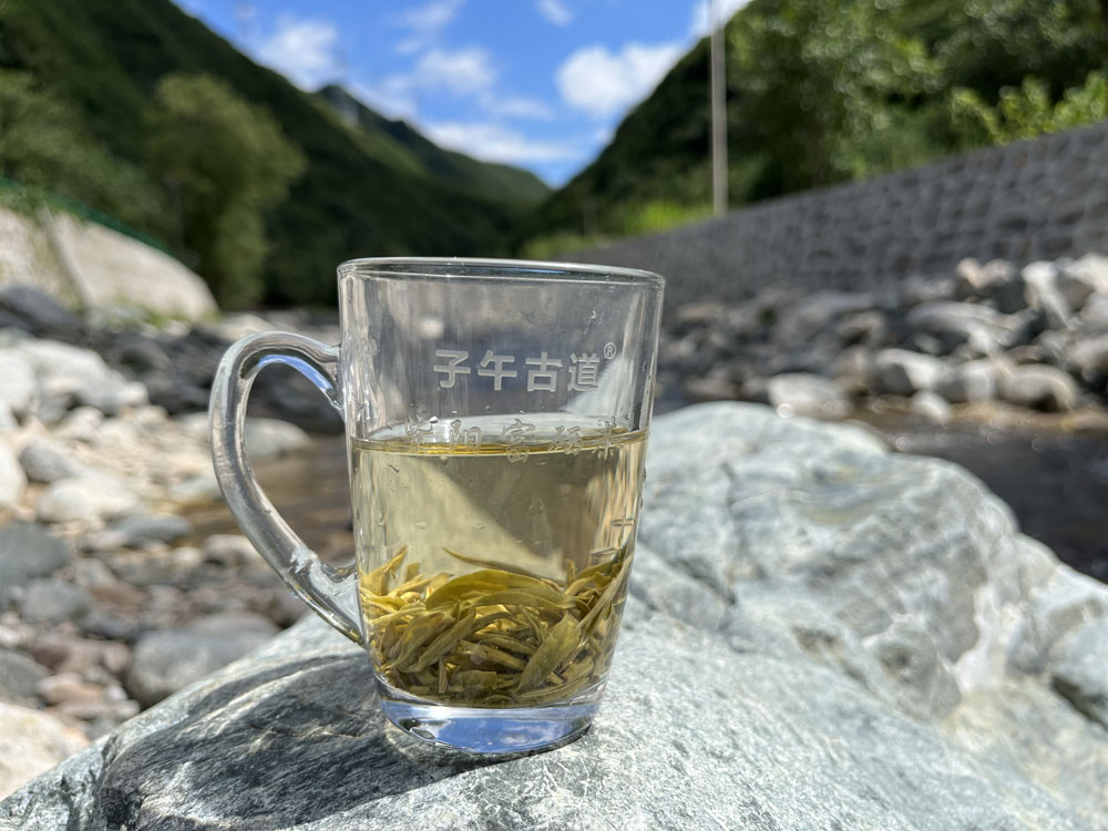 紫阳翠峰浓香型绿茶介绍