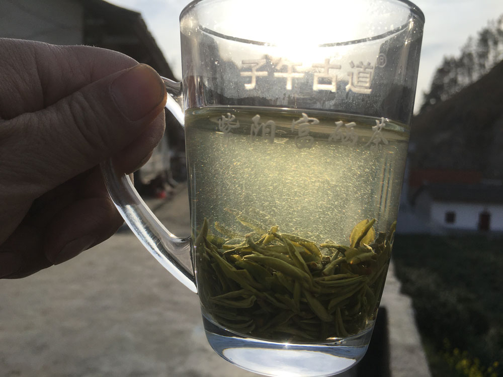 紫阳富硒茶冲泡后水里有悬浮物这正常吗？