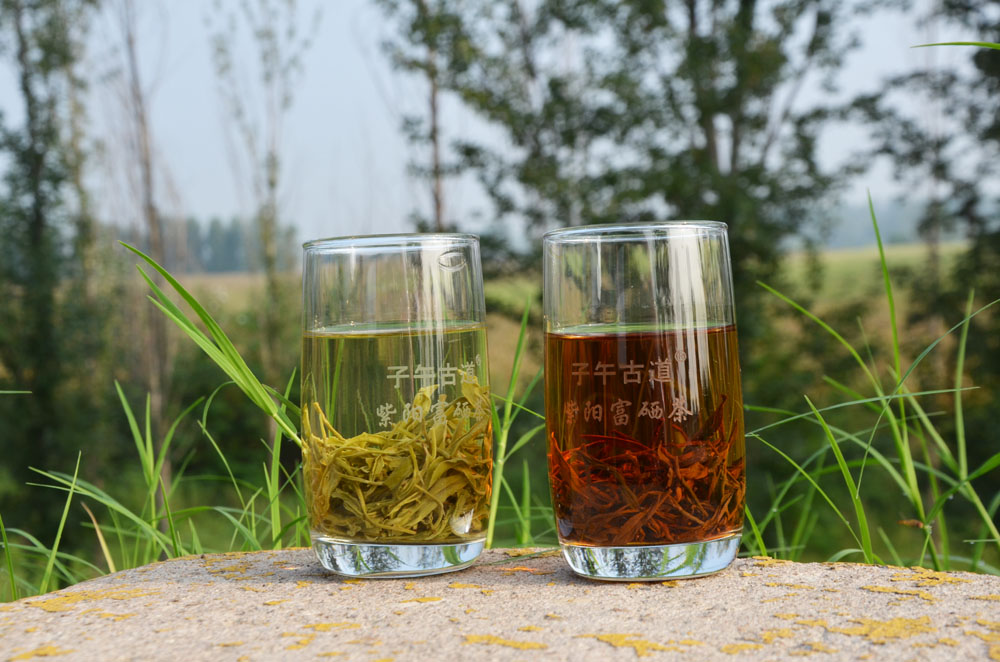 紫阳富硒茶是凉性还是温性？