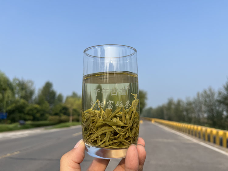 子午古道明后蒿坪毛尖怎么样?