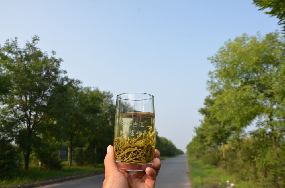碧螺春与紫阳茶哪个好？