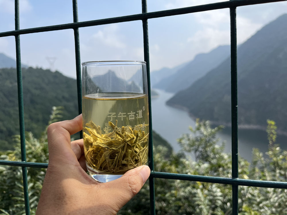紫阳富硒茶适合什么人喝？