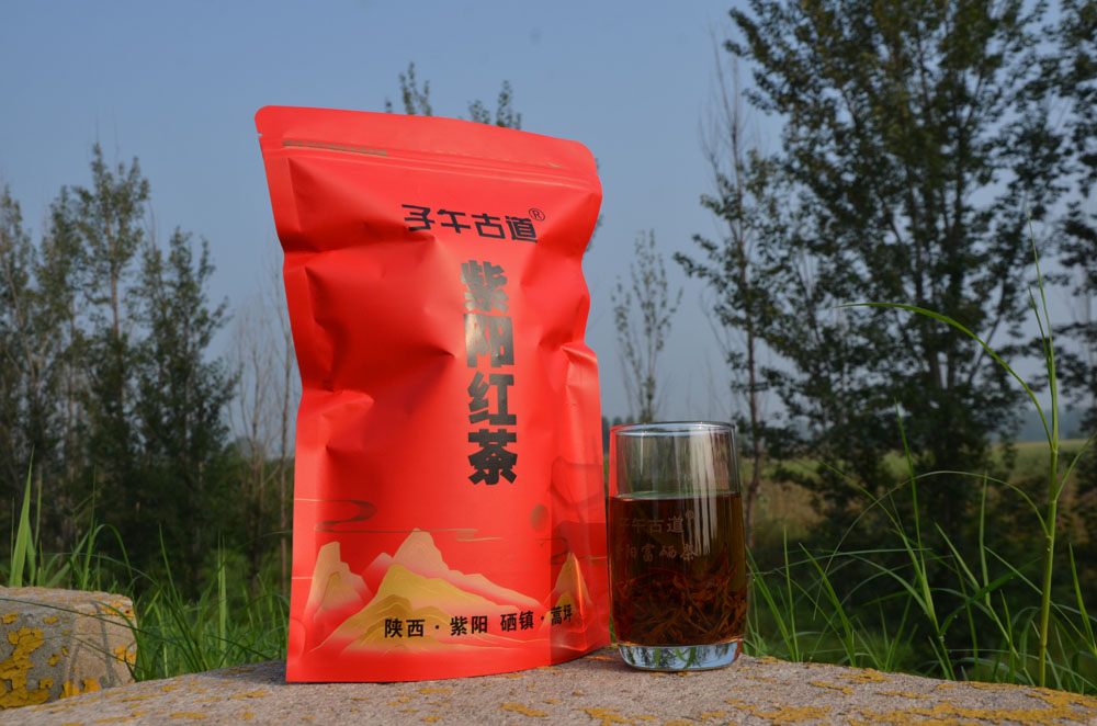 中茶紫阳红茶好喝还是紫阳毛尖好喝？