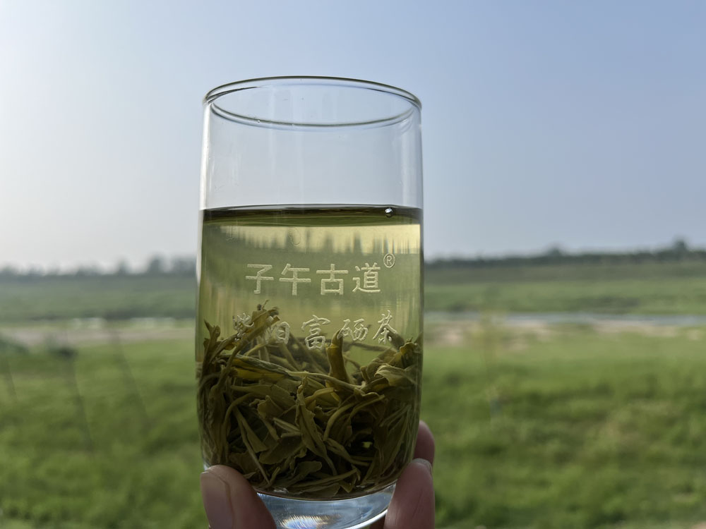 紫阳茶和资阳茶有什么区别？