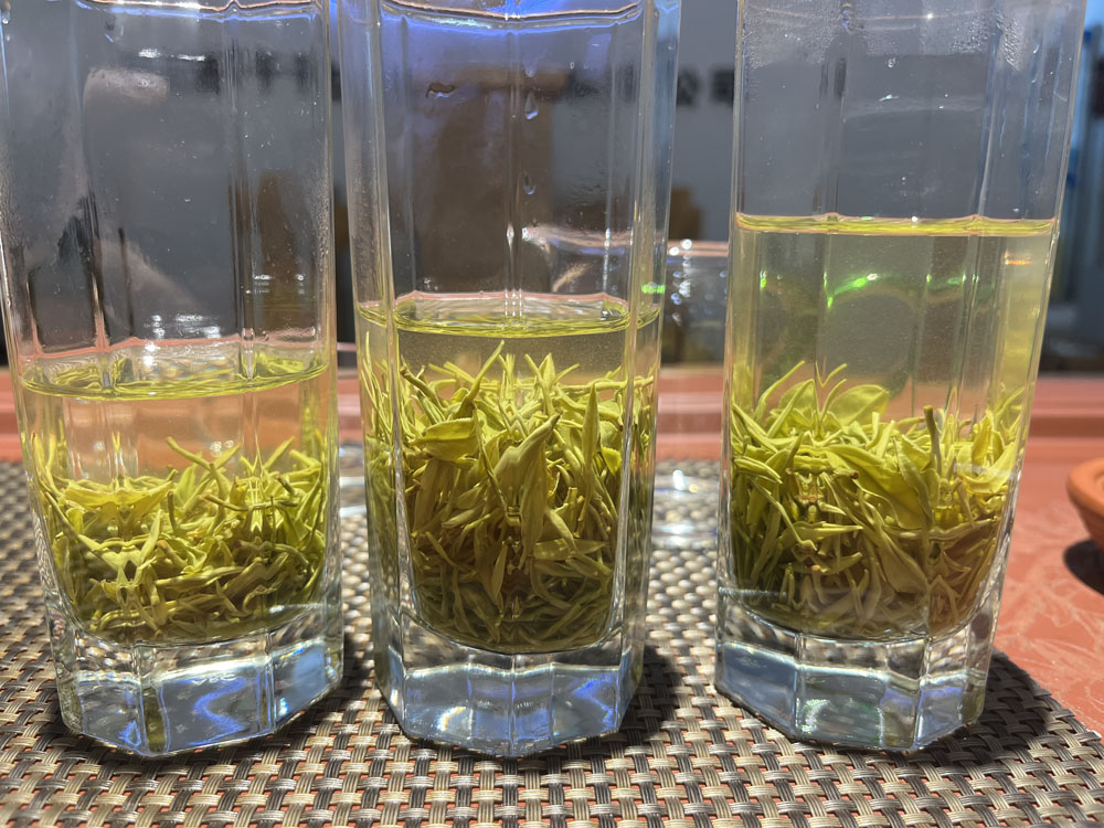 最好的紫阳毛尖也有叶吗?